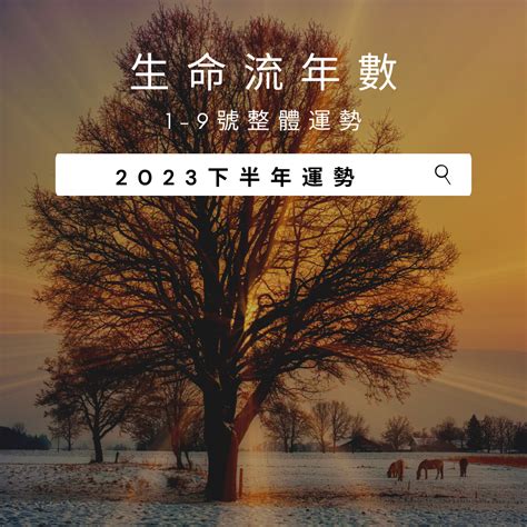 2023生命靈數流年8 座西向東